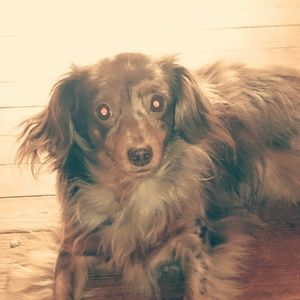 Meet your Posher, Juli